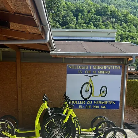 Alex אתר קמפינג